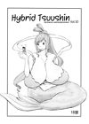 Hybrid Tsuushin Vol.10 обложка